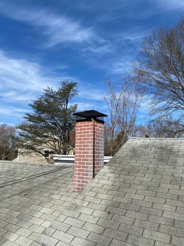ChimneyCleaningProfessional