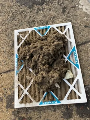 Efficient dryer vent replacement service in New Jersey improving home safety and air quality Efficient dryer vent replacement service in New Jersey improving home safety and air quality