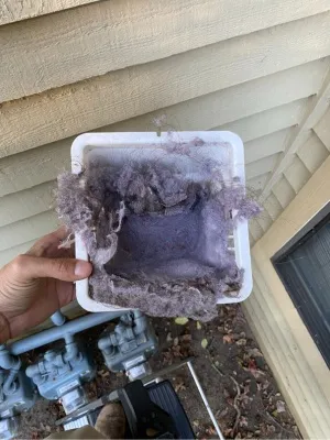 Homeowners in NJ address bird nest removal with professional assistance to ensure safety Homeowners in NJ address bird nest removal with professional assistance to ensure safety