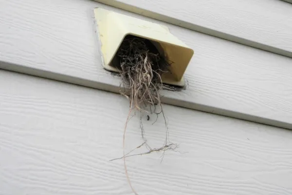 Bird nest removal service in New Jersey clears blocked vent to ensure proper airflow for homes and buildings