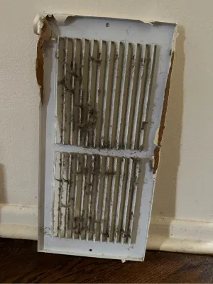 Cleaning a mini split air conditioner filter to maintain optimal performance and air quality in a home setting