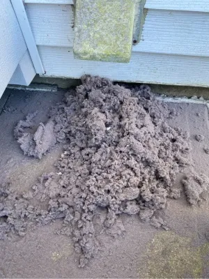Dryer vent replacement service in New Jersey addressing clogged vent debris at a residential property