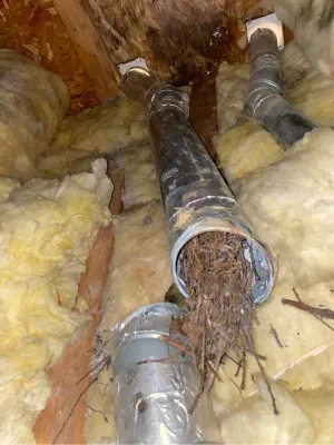 Roof bird nest removal in New Jersey to prevent blockages and damage in home ventilation systems