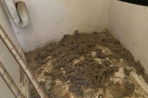 Cleaning an affordable exhaust fan area in New Jersey reveals significant buildup and debris from neglect over time Cleaning an affordable exhaust fan area in New Jersey reveals significant buildup and debris from neglect over time